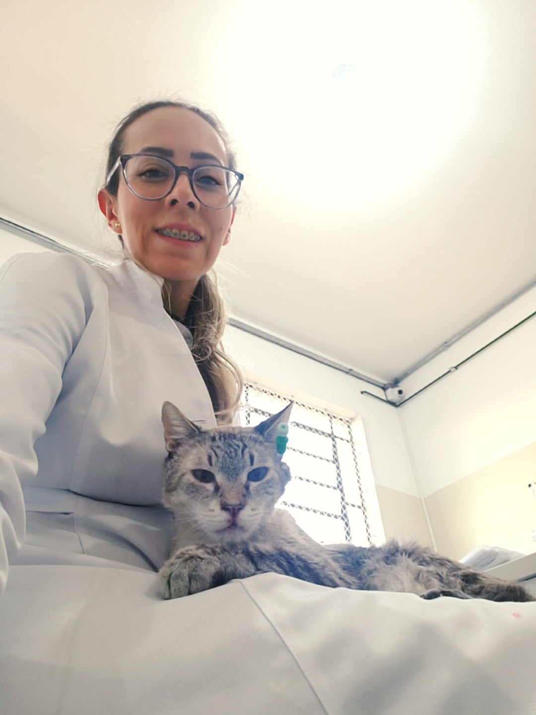 Uma médica veterinária com um gato cinza deitado em seu colo