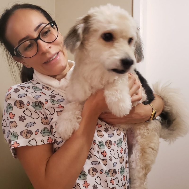 Uma médica veterinária segurando um cachorro branco no colo